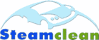 Large_steam_clean_logo
